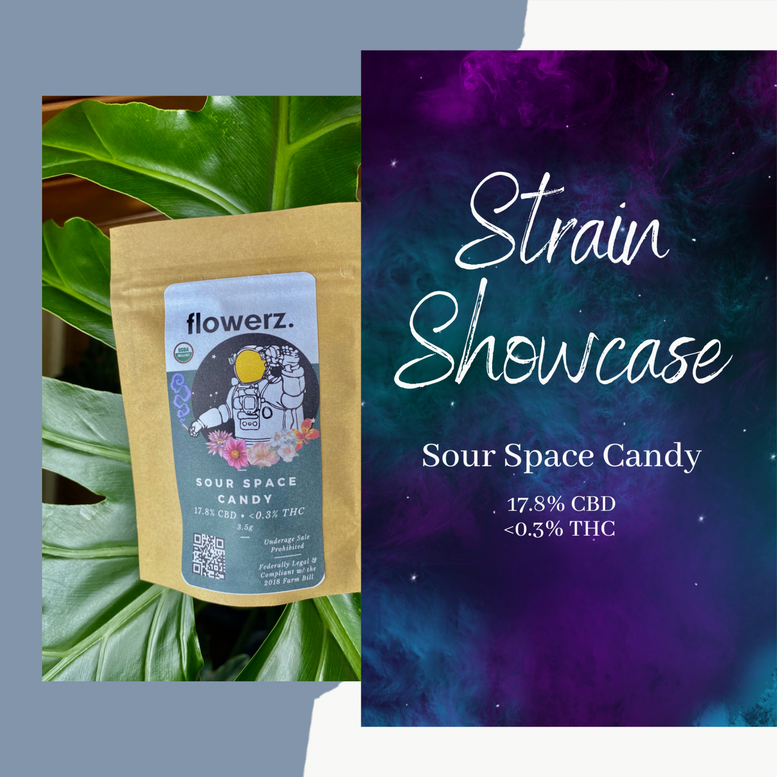 Sour Space Candy: Strain Showcase