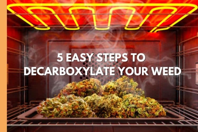 5 Easy Steps to Decarboxylate Your Weed