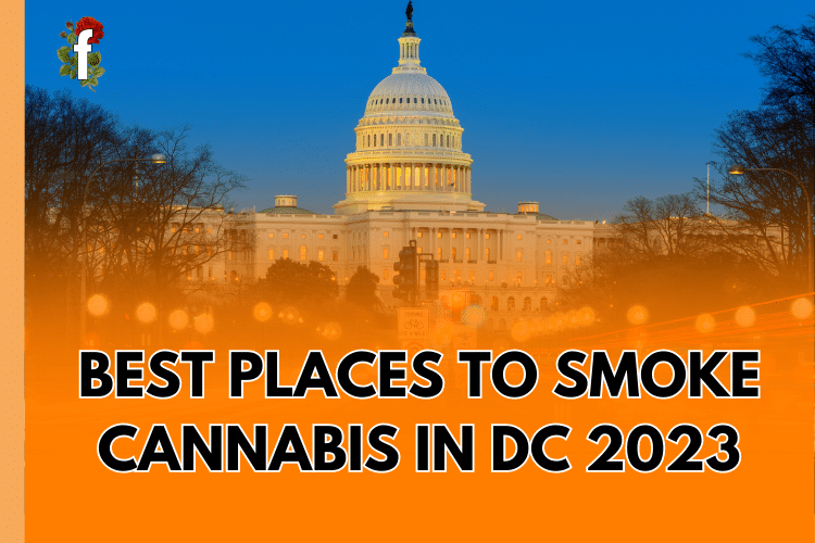 Best Places to Smoke Cannabis in DC 2023|Marijuana Facts DC