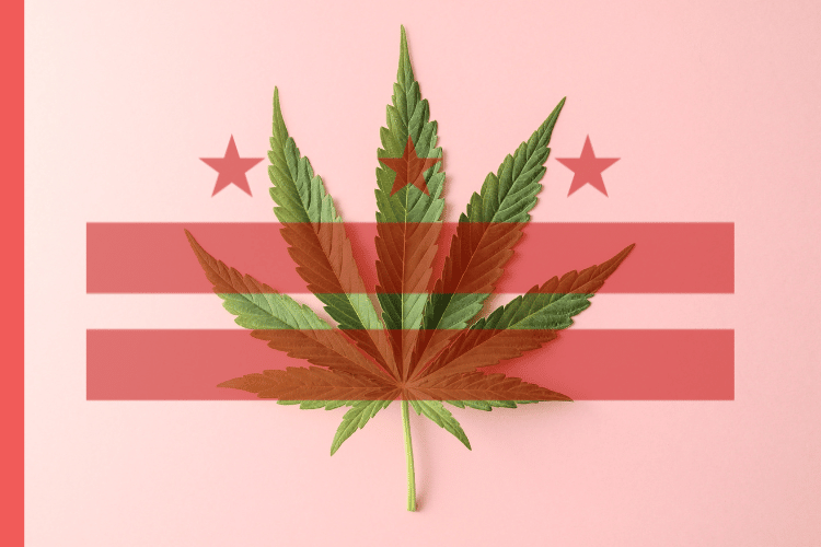 DC Cannabis