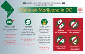 Marijuana Facts DC